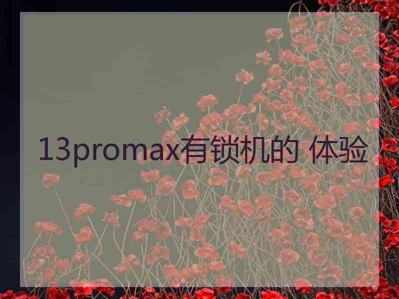 13promax有锁机的 体验