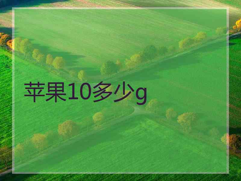 苹果10多少g