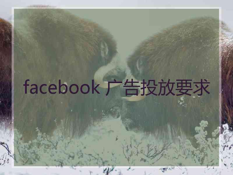 facebook 广告投放要求