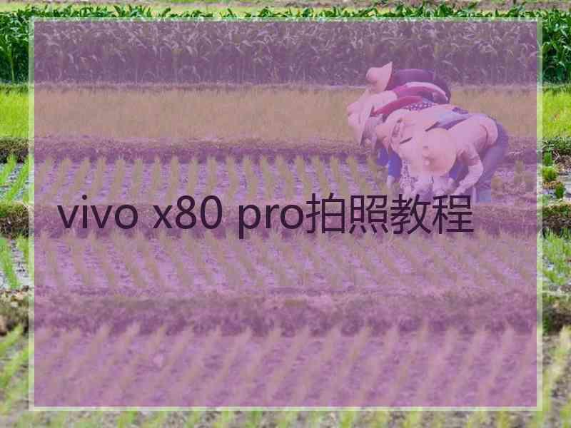 vivo x80 pro拍照教程