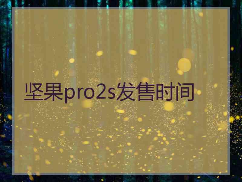 坚果pro2s发售时间