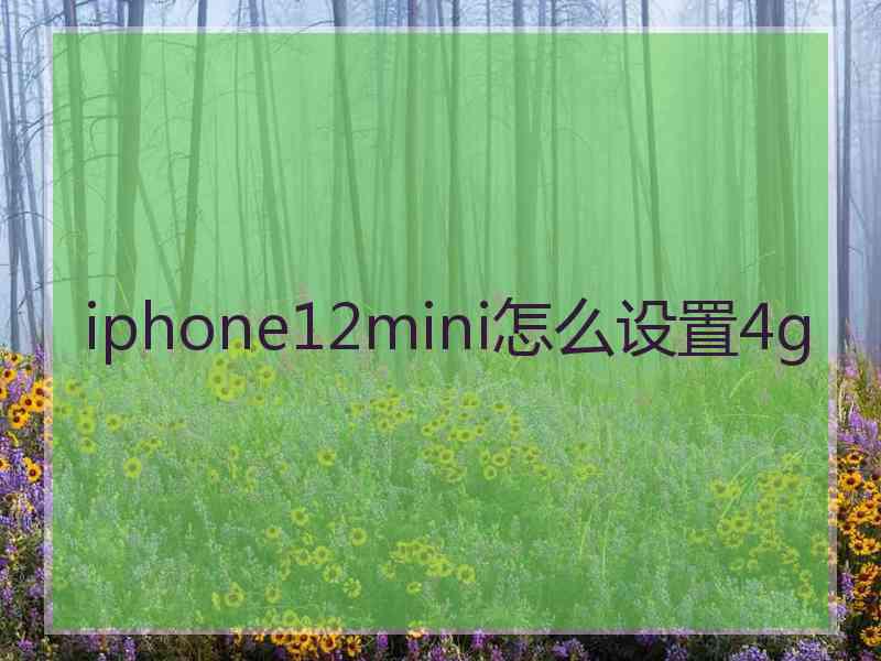 iphone12mini怎么设置4g