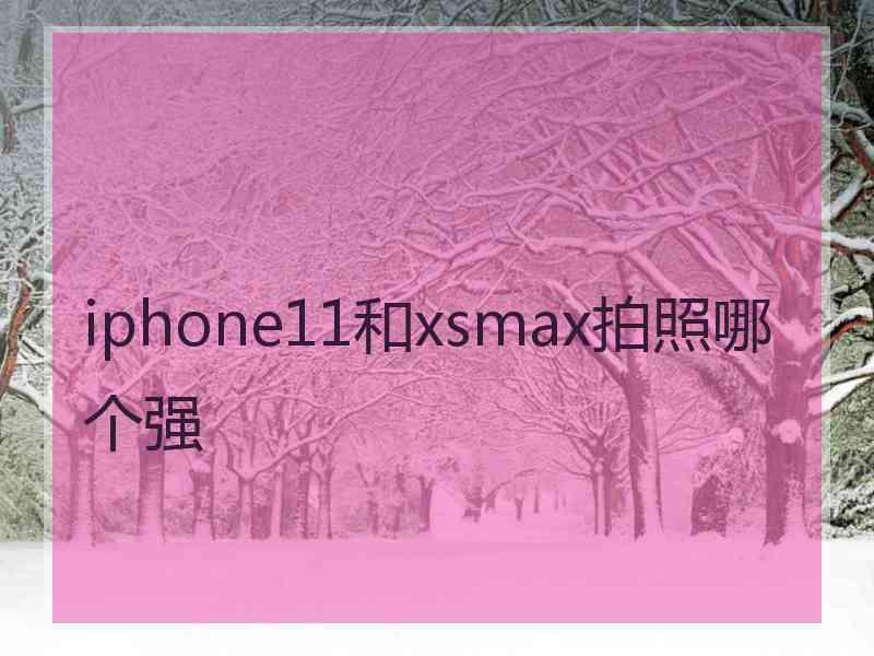 iphone11和xsmax拍照哪个强