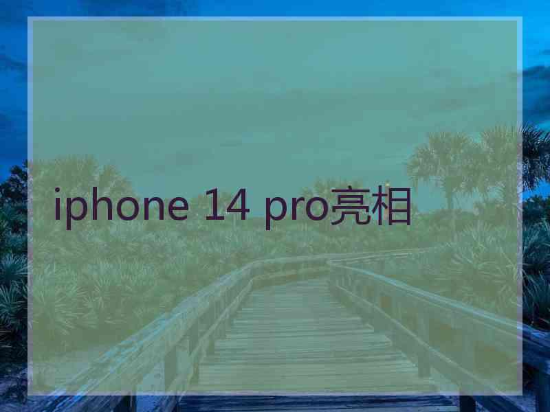 iphone 14 pro亮相