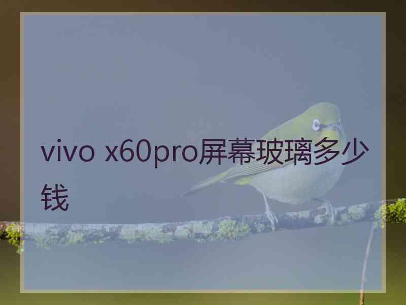 vivo x60pro屏幕玻璃多少钱