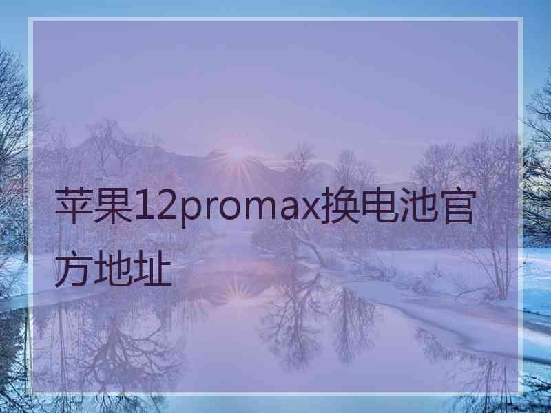 苹果12promax换电池官方地址