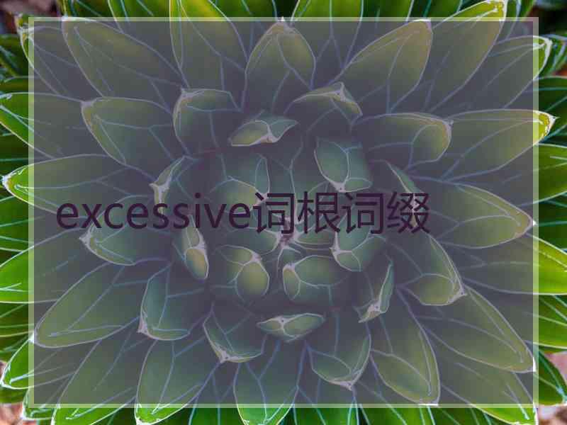 excessive词根词缀