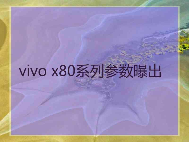 vivo x80系列参数曝出