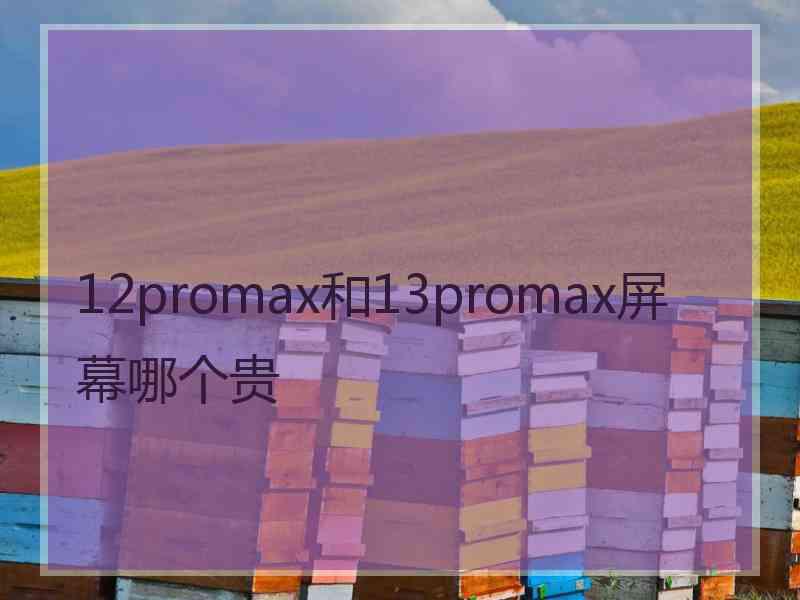 12promax和13promax屏幕哪个贵