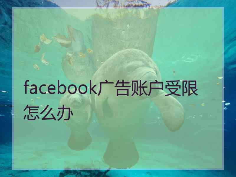 facebook广告账户受限怎么办