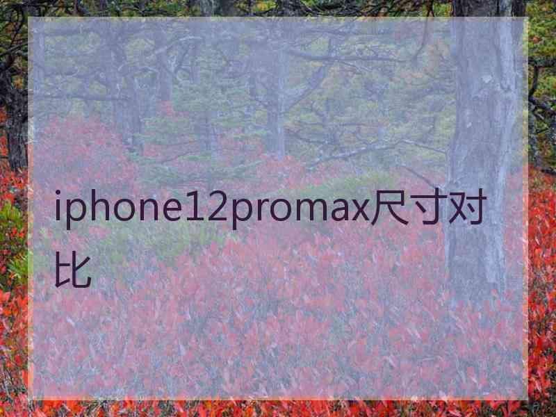 iphone12promax尺寸对比