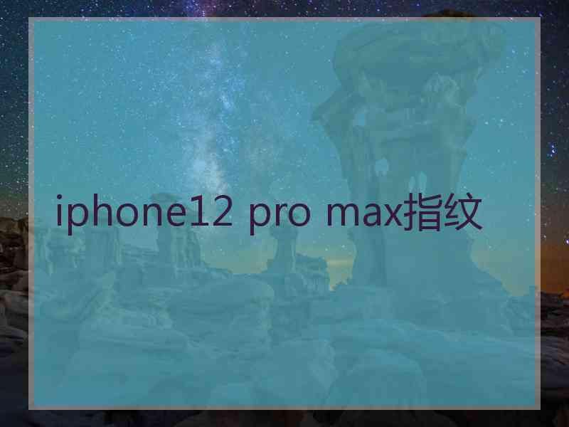 iphone12 pro max指纹