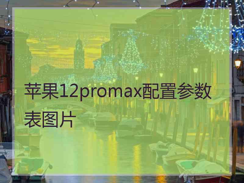 苹果12promax配置参数表图片