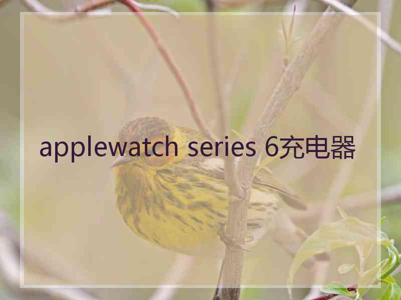 applewatch series 6充电器