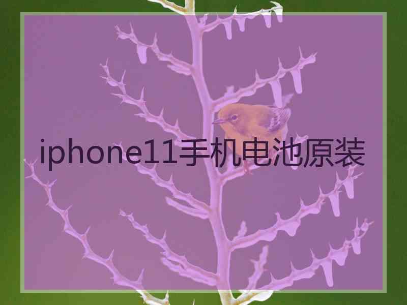 iphone11手机电池原装