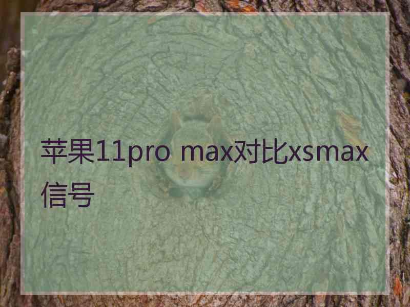 苹果11pro max对比xsmax信号