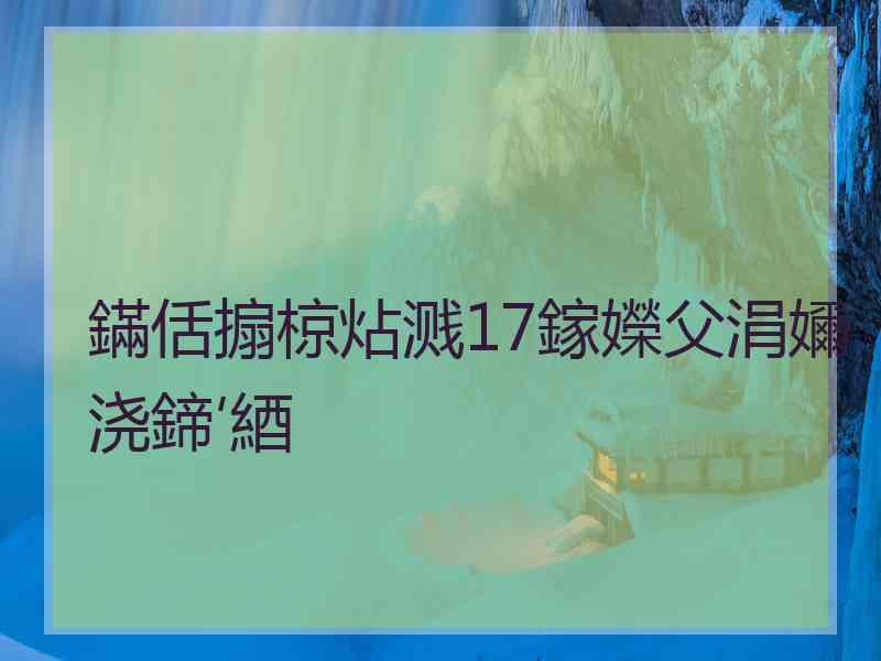 鏋佸搧椋炶溅17鎵嬫父涓嬭浇鍗′綇