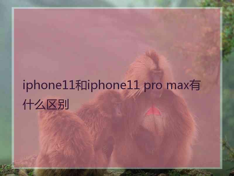 iphone11和iphone11 pro max有什么区别