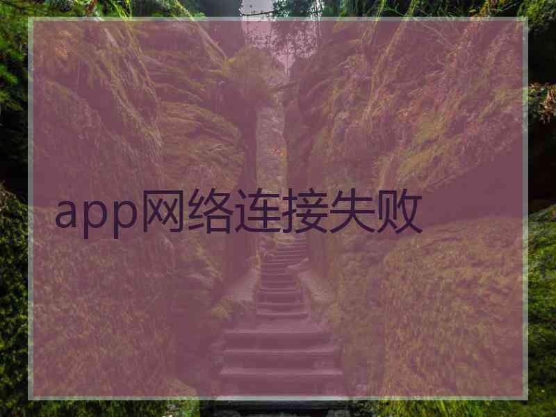 app网络连接失败