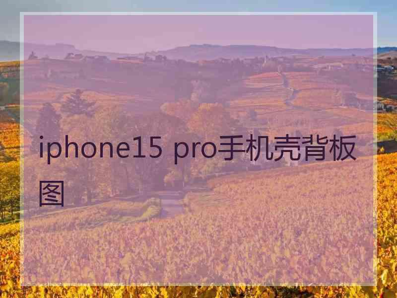 iphone15 pro手机壳背板图