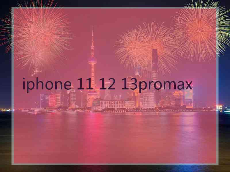 iphone 11 12 13promax