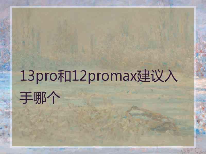 13pro和12promax建议入手哪个