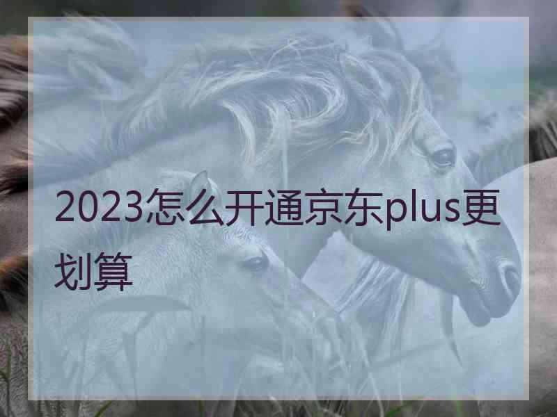 2023怎么开通京东plus更划算