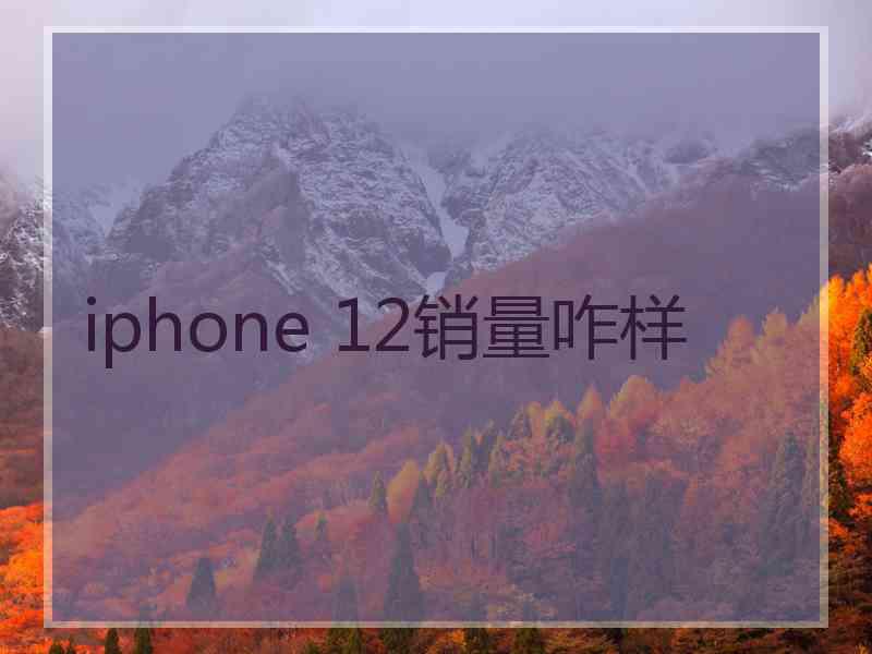 iphone 12销量咋样