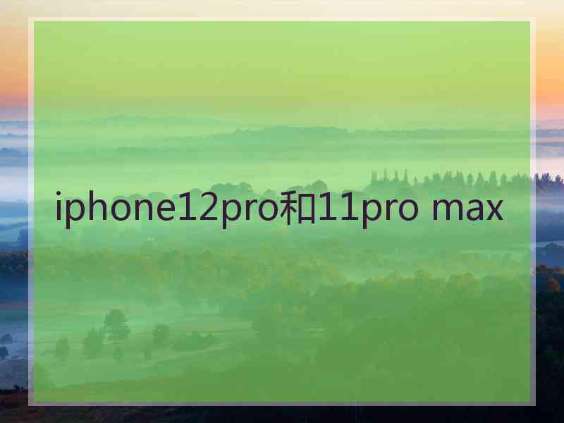 iphone12pro和11pro max