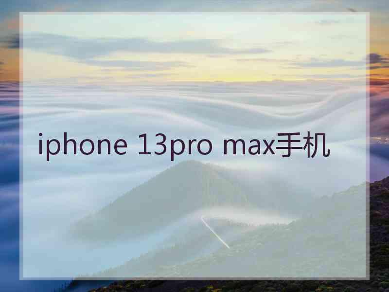 iphone 13pro max手机