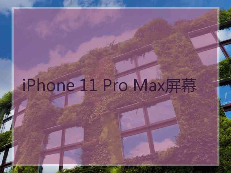 iPhone 11 Pro Max屏幕