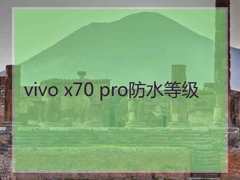 vivo x70 pro防水等级