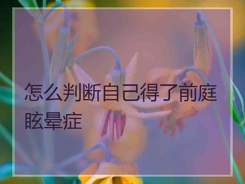 怎么判断自己得了前庭眩晕症