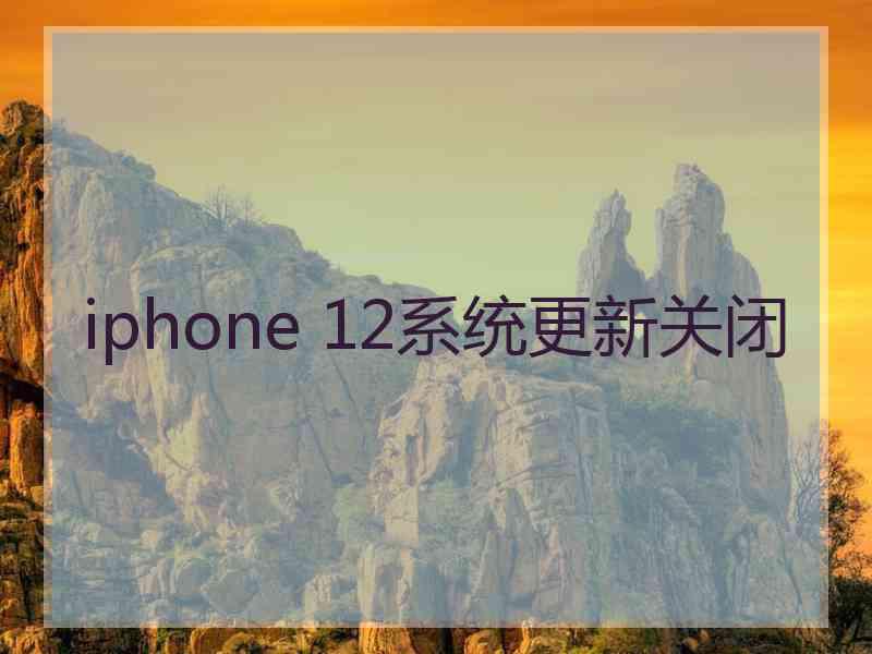 iphone 12系统更新关闭