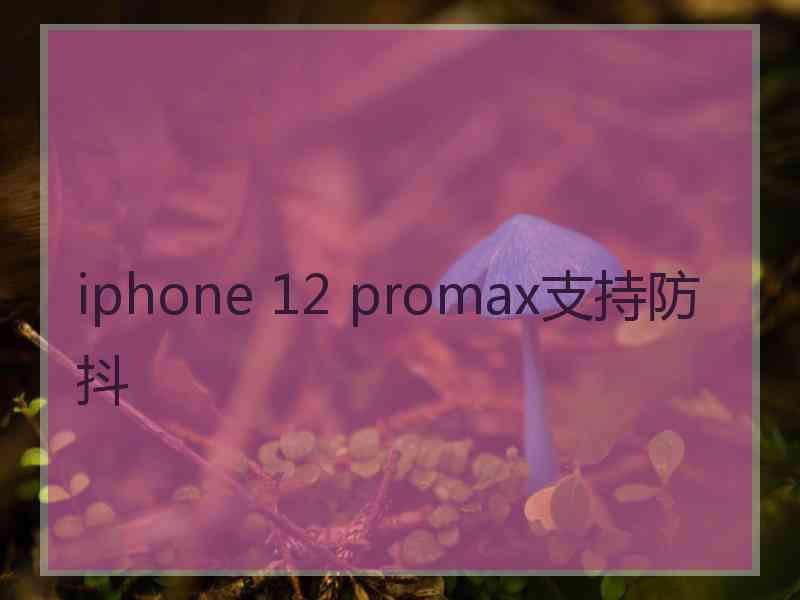 iphone 12 promax支持防抖