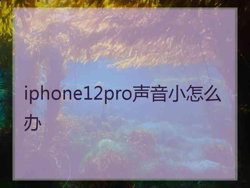 iphone12pro声音小怎么办