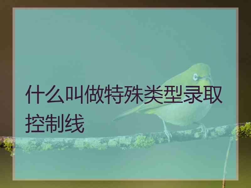 什么叫做特殊类型录取控制线