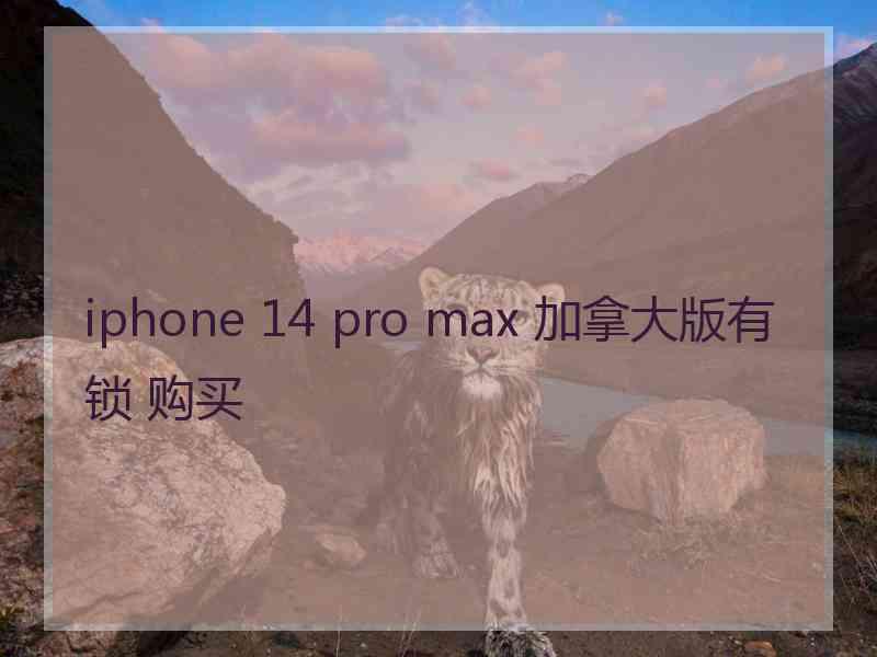 iphone 14 pro max 加拿大版有锁 购买