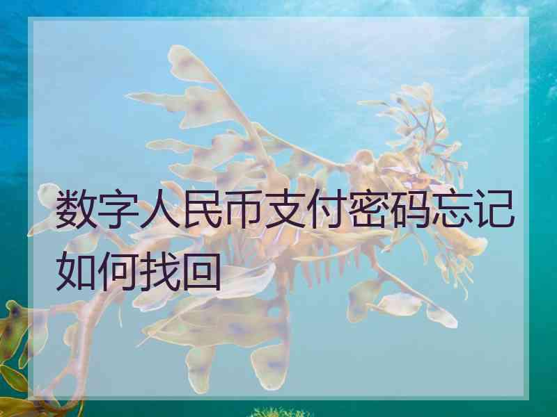 数字人民币支付密码忘记如何找回