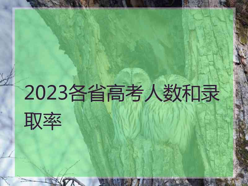 2023各省高考人数和录取率