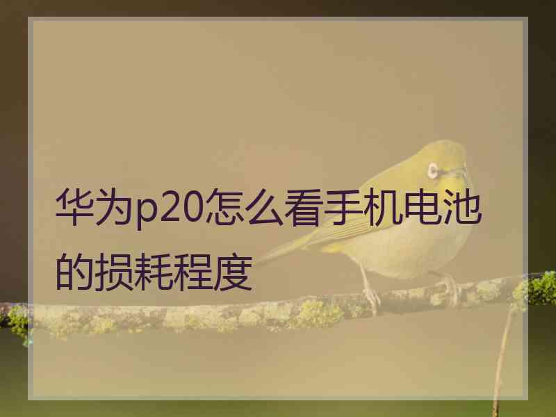 华为p20怎么看手机电池的损耗程度