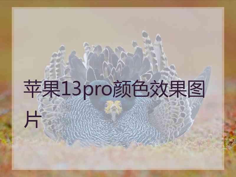 苹果13pro颜色效果图片