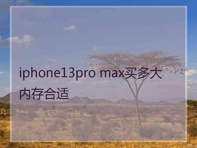 iphone13pro max买多大内存合适