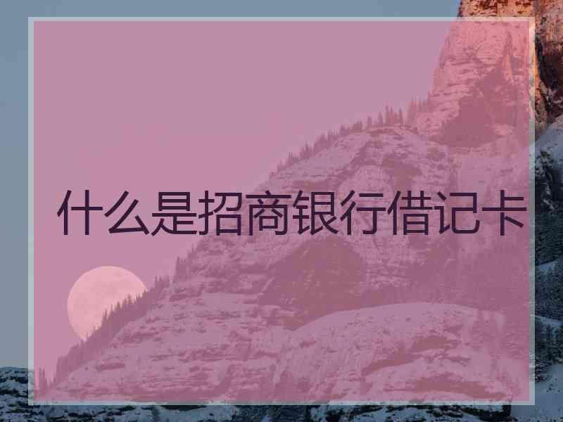 什么是招商银行借记卡