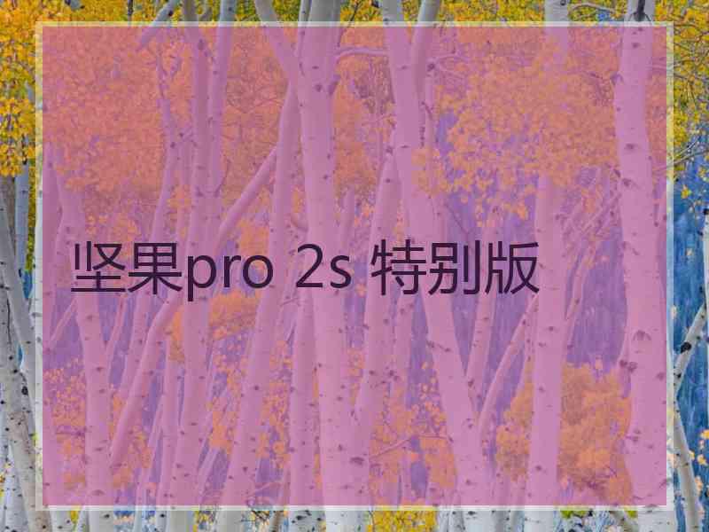 坚果pro 2s 特别版