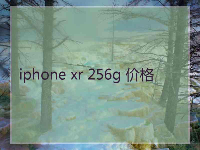 iphone xr 256g 价格