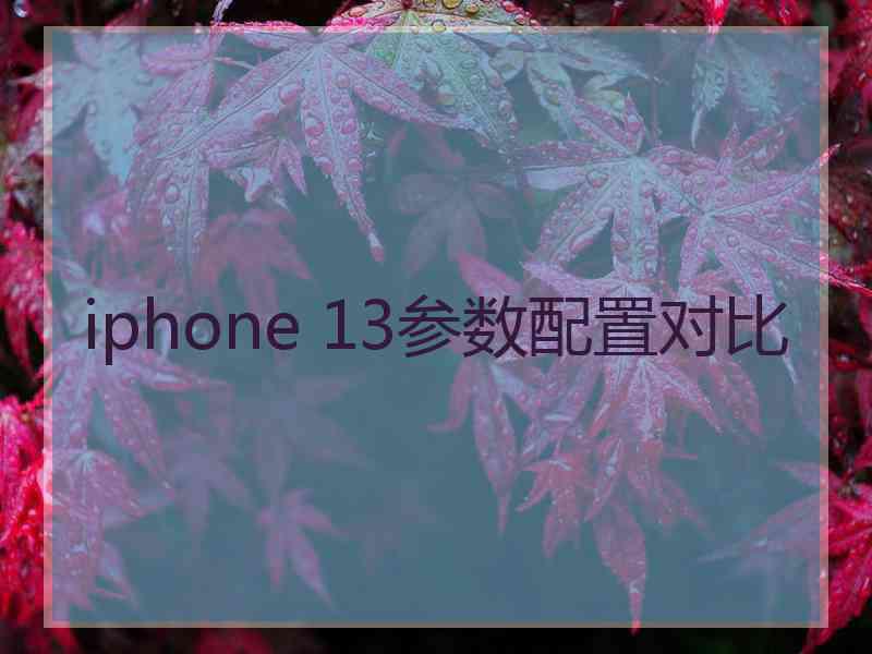 iphone 13参数配置对比