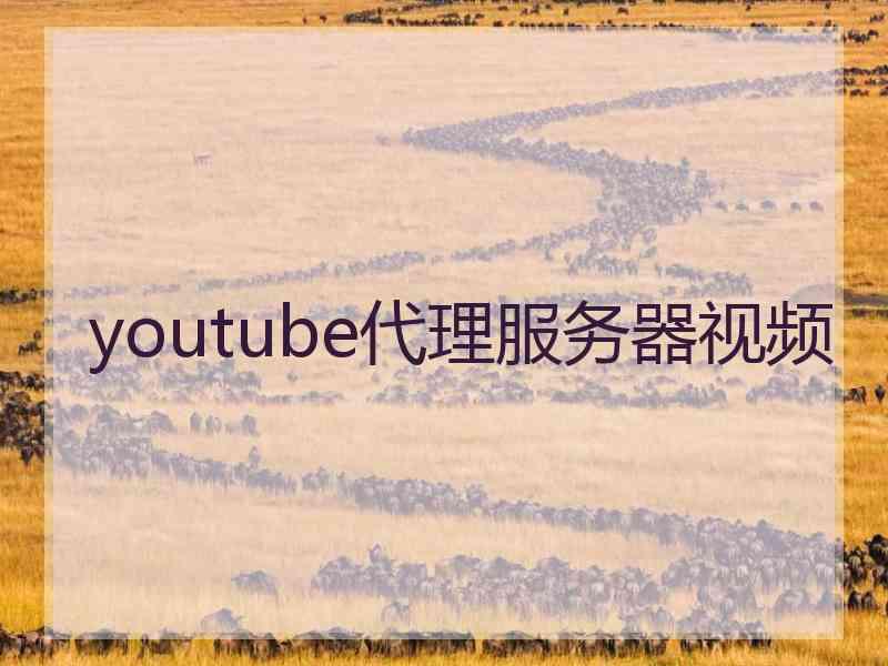 youtube代理服务器视频