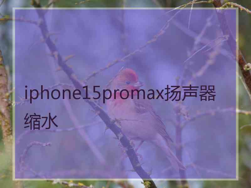 iphone15promax扬声器缩水