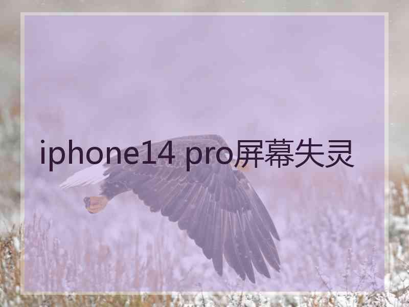 iphone14 pro屏幕失灵